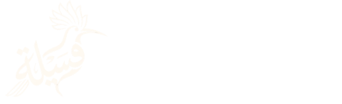 Faceela – Your tech partner